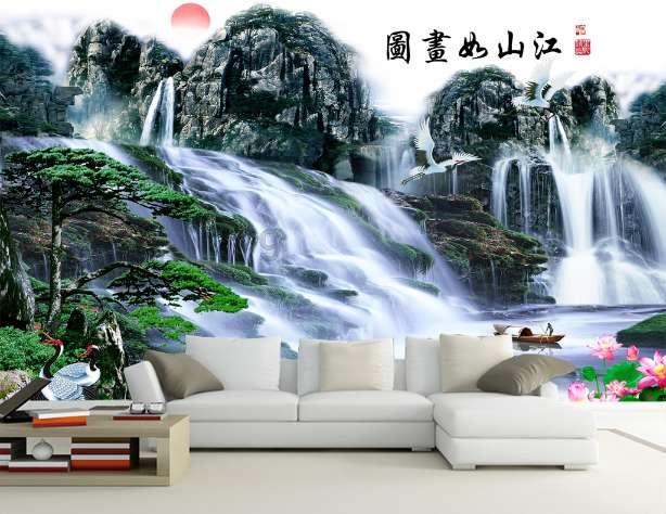 春雨直播app